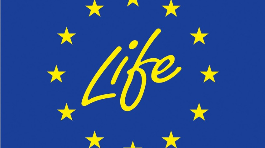 Life - logo