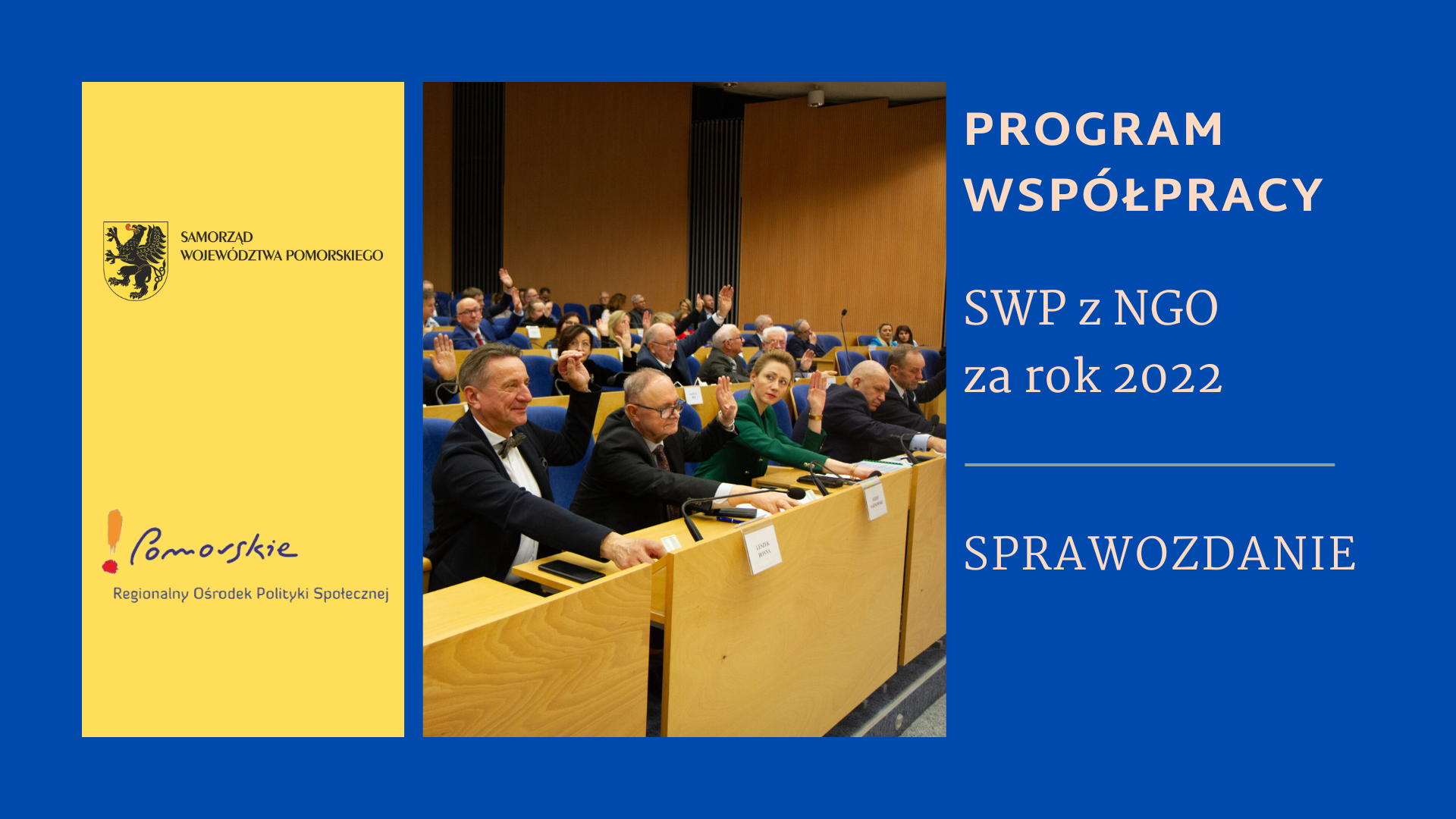 Program Współpracy SWP z NGO 2022 – sprawozdanie
