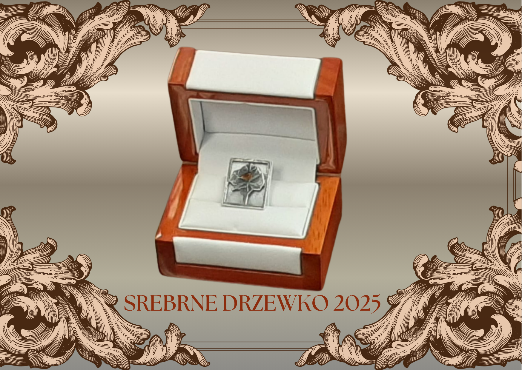 19 Edycja Nagrody Srebrnego Drzewka 2025