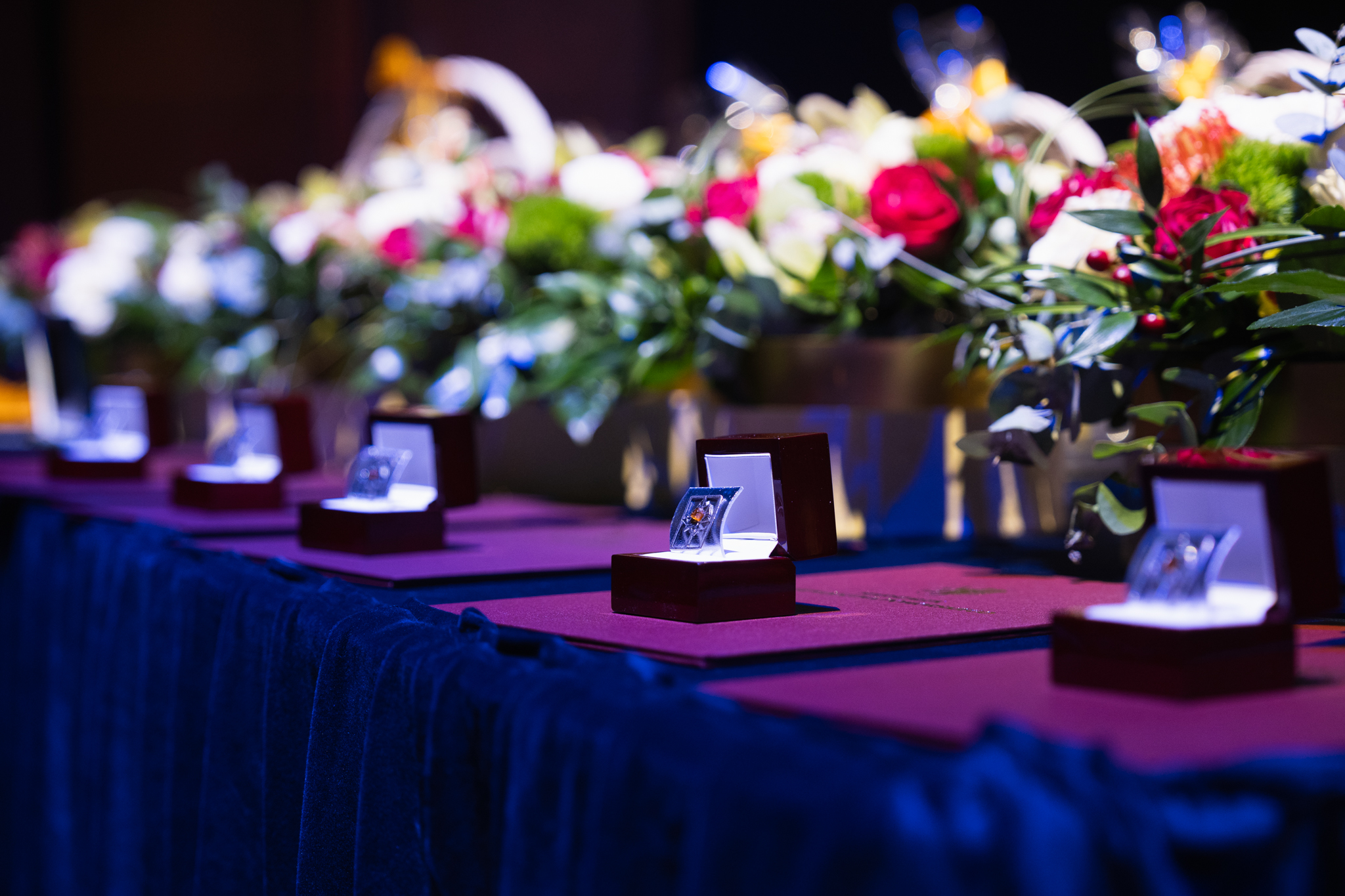 Srebrne Drzewko 2026 – 20 Jubileuszowa Gala